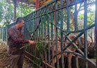 Anggaran Perawatan Kebun Binatang Mini Pemkab Tulungagung Senilai Rp180 Juta